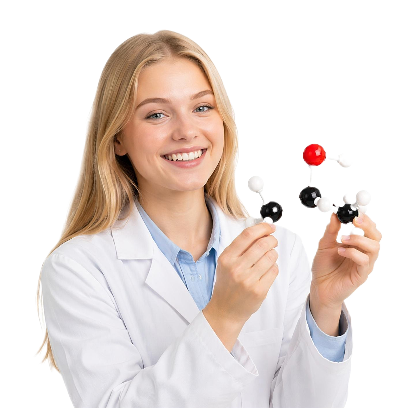 化学分子模型キット：構造の可視化と簡単な組み立て、教育的意義 - Model Kit Chemistry のレビューと価格